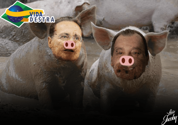 Porcos