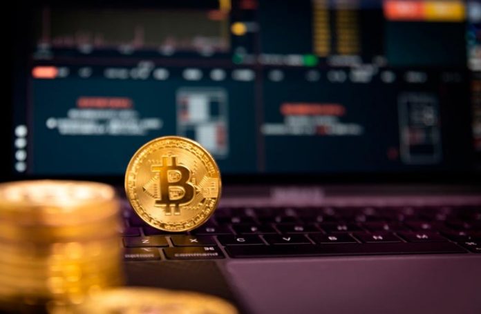 bbb-do-bitcoin-reality-show-vai-mostrar-realidade-de-quem-perdeu-btc
