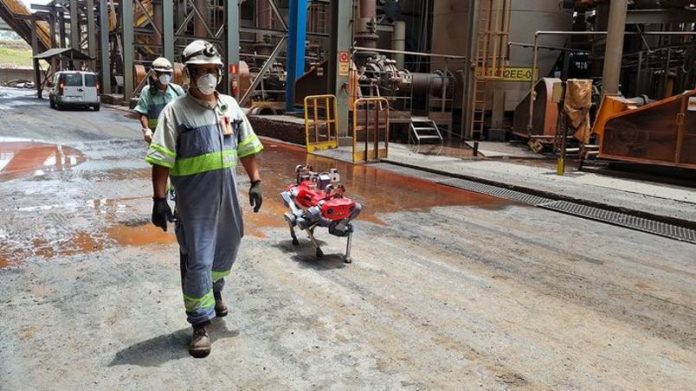 robo-anymal-desenvolvido-pela-empresa-anybotics