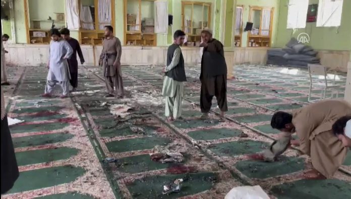afg-4