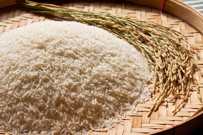 arroz