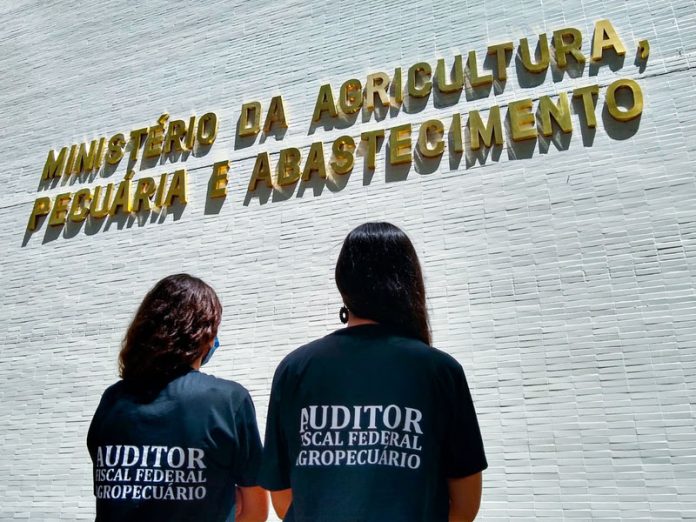 auditor federal assedio