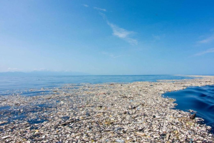 ecossistema