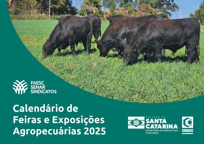 sistema Faesc 2025