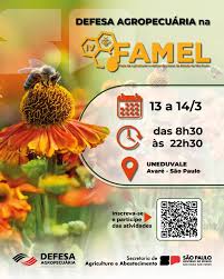 IV FAmel