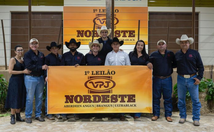 nordeste leilao