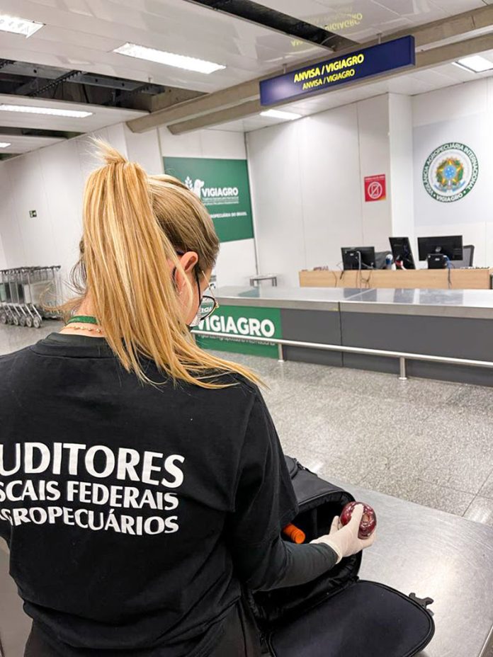 auditores agropecuários