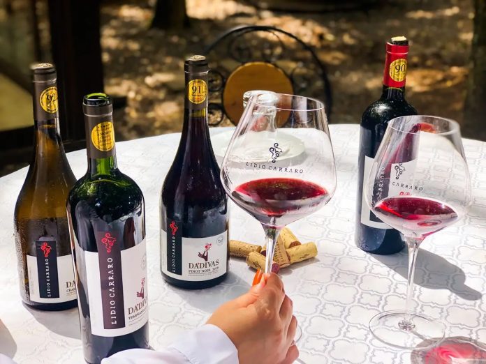 vinicola-2