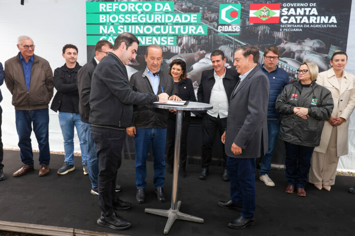 acordo SC suinos