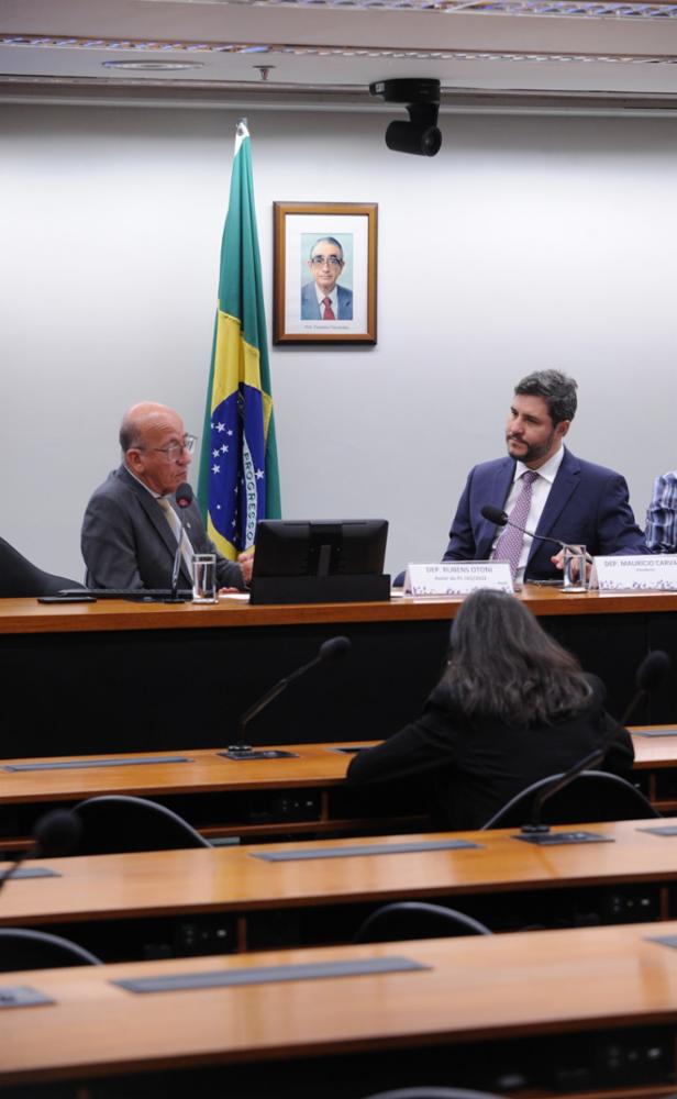 Mauricio-Carvalho-Aud-Pub-IR-Prof-1