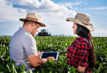 Inteligência artificial e agricultura de precisão impulsionam novas profissões no campo
